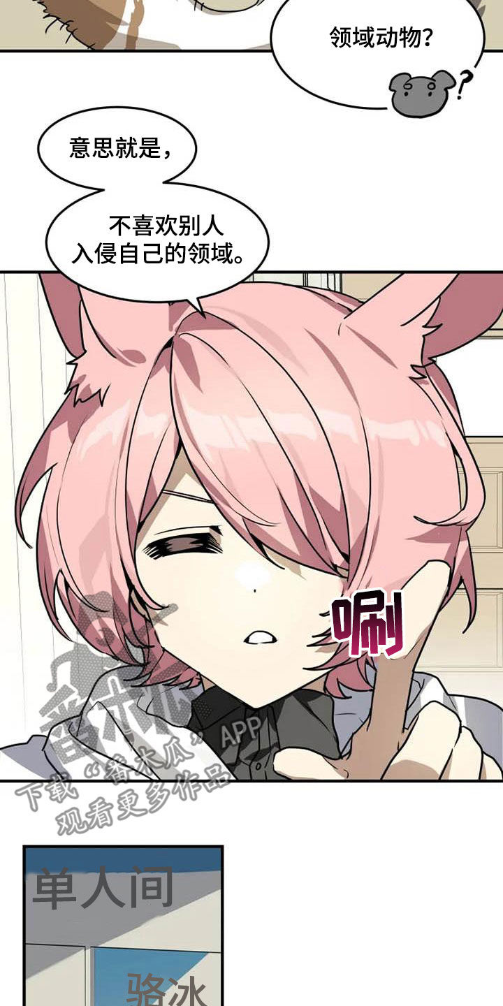 动物笑话大全爆笑漫画,第19章：分析2图