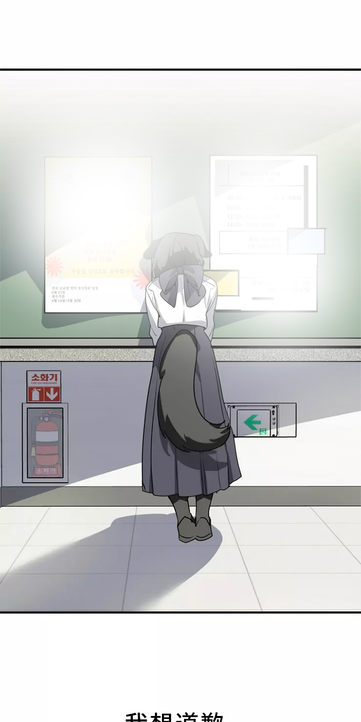 动物笑话大全爆笑漫画,第38章：庆典5图