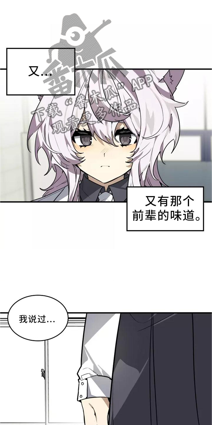 动物校园漫画,第45章：再说一次3图