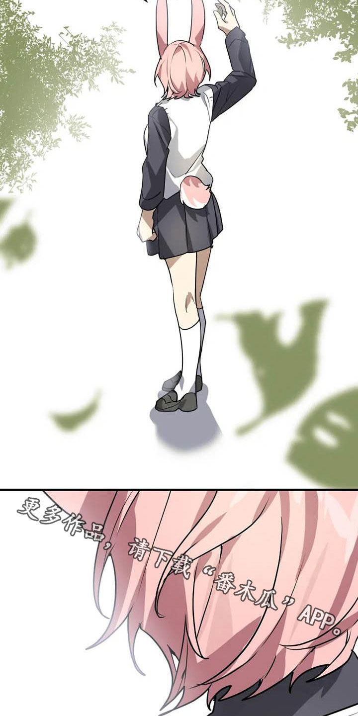 动物校园全集视频漫画,第20章：一群笨蛋4图