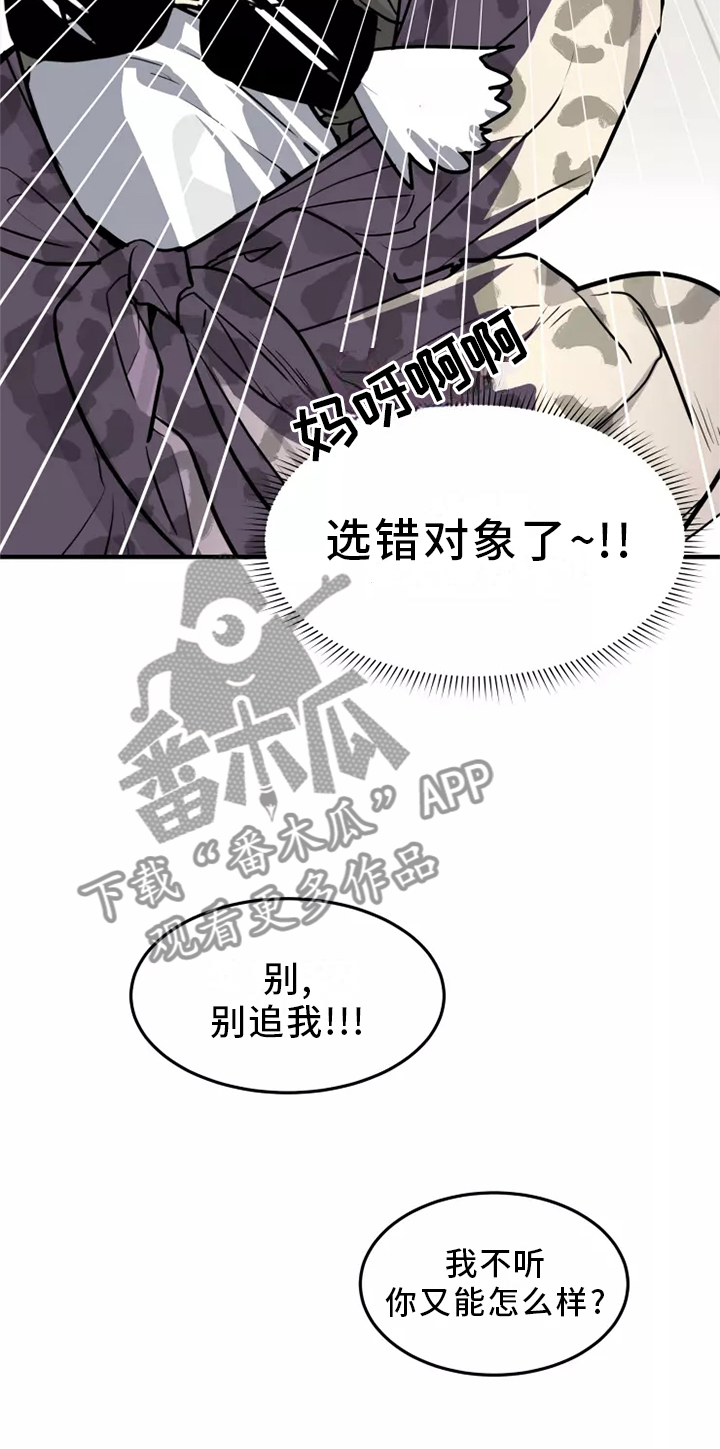 动物笑话影院漫画,第39章：触动2图