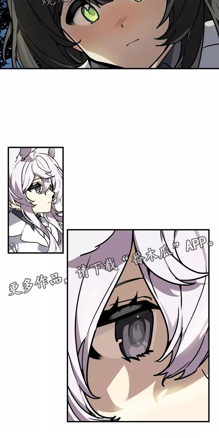 动物校园漫画,第42章：确信2图