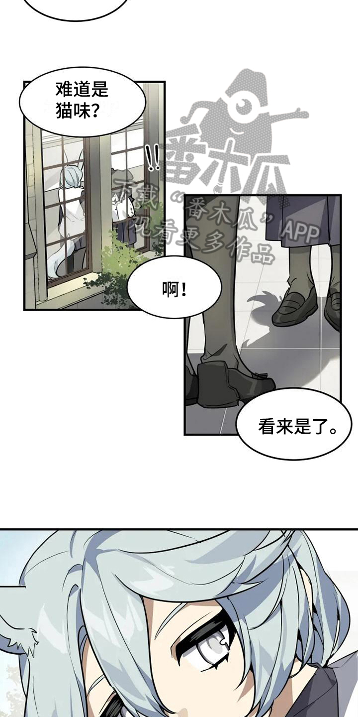 动物校园入口漫画,第6章：带路2图