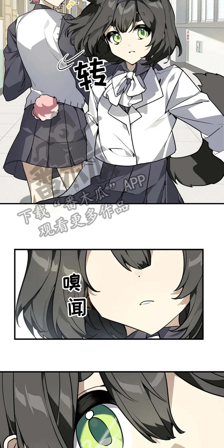 动物校园漫画,第5章：认错2图