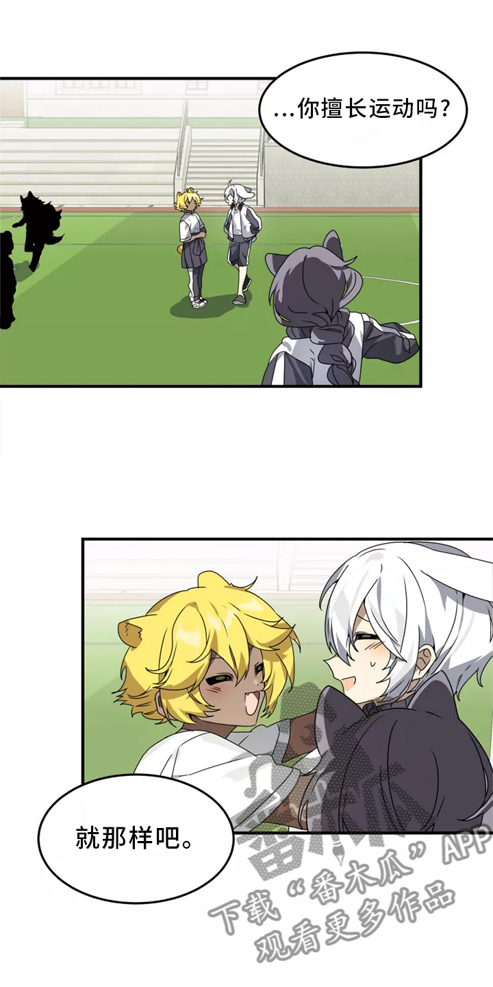 动物校园漫画,第38章：庆典5图