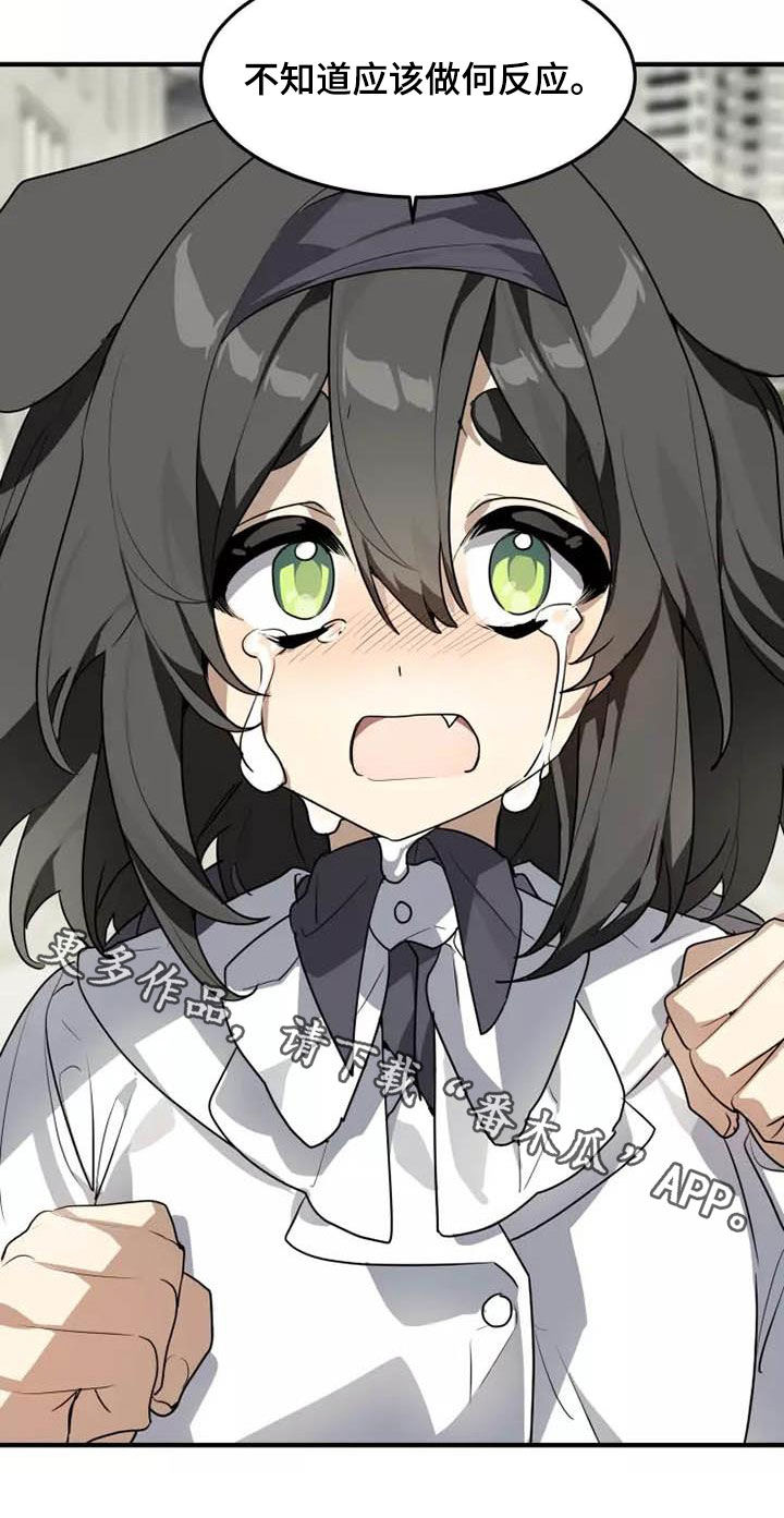 动物校园入口漫画,第35章：为什么说谎1图