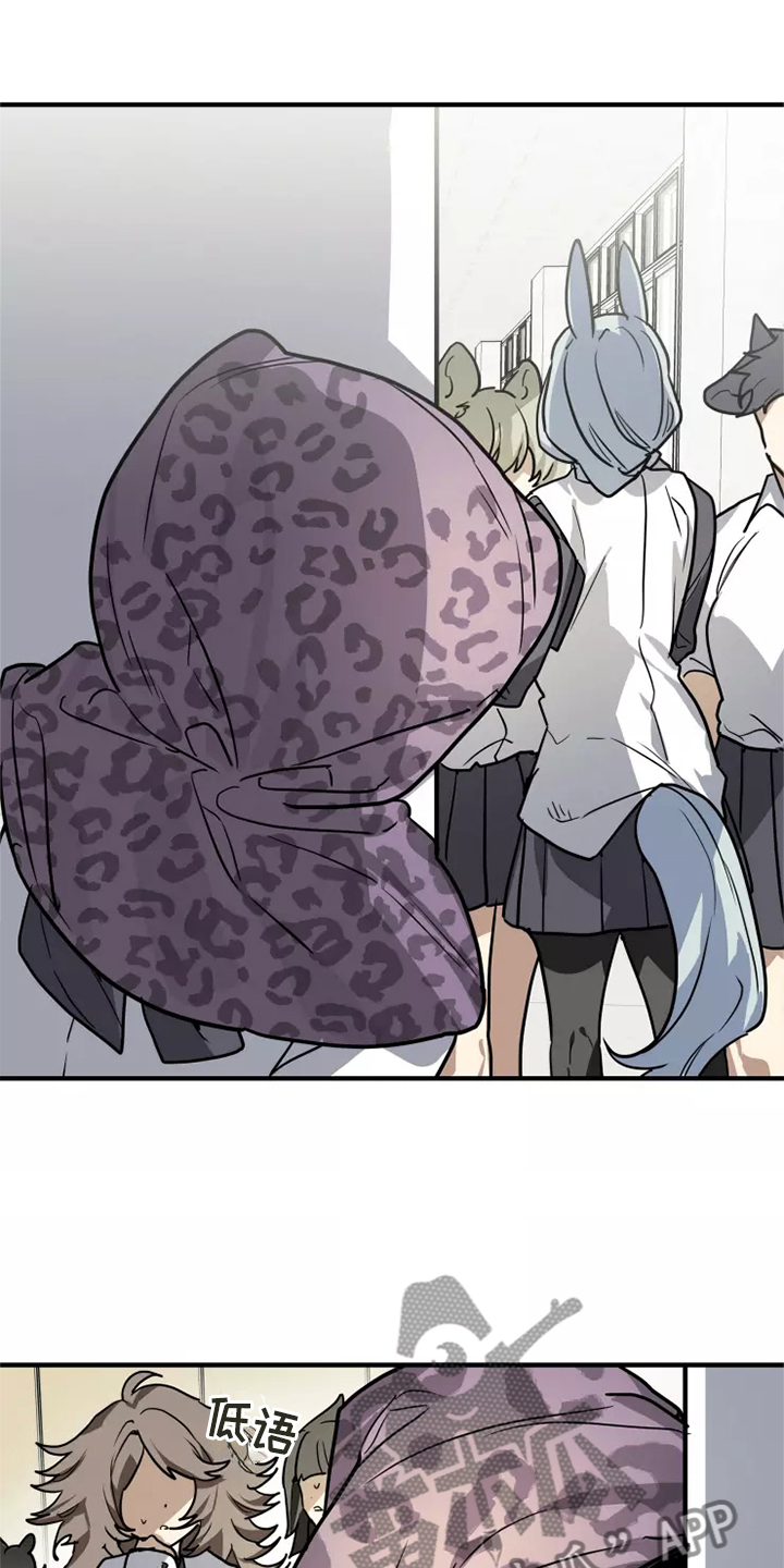 动物笑话影院漫画,第39章：触动5图