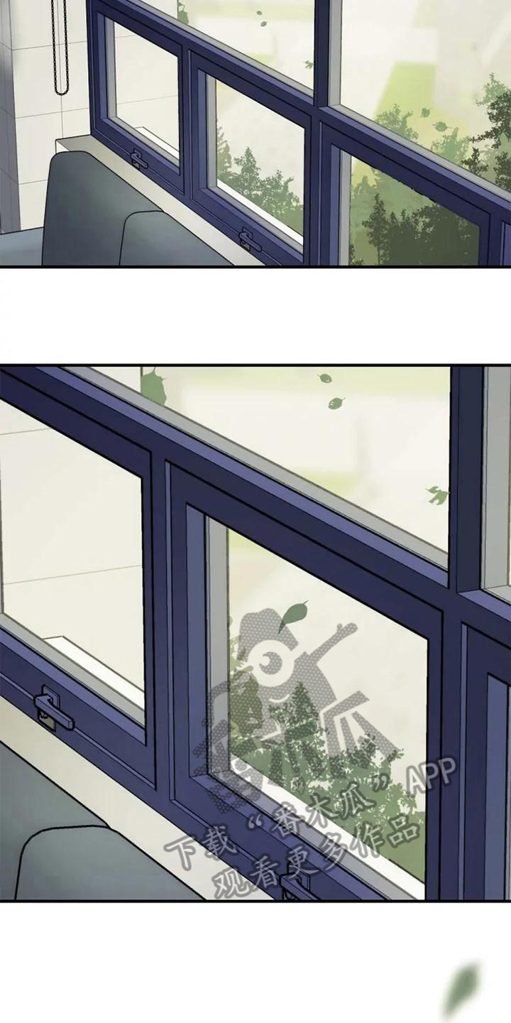 动物消消看漫画,第12章：喜欢2图