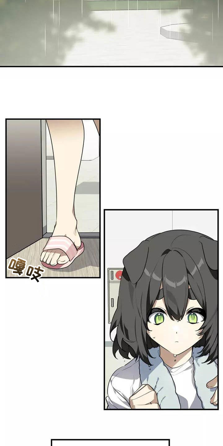 动物奶油和植物奶油区别漫画,第36章：我是真心的3图