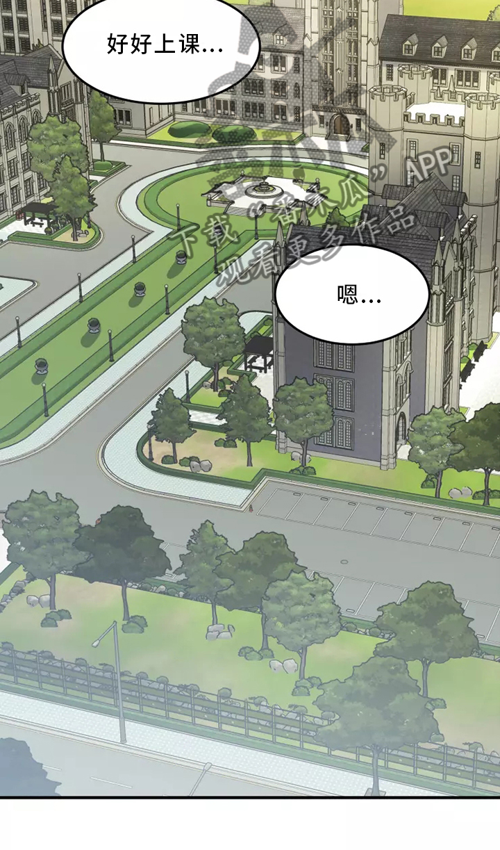 动物校园漫画,第38章：庆典3图