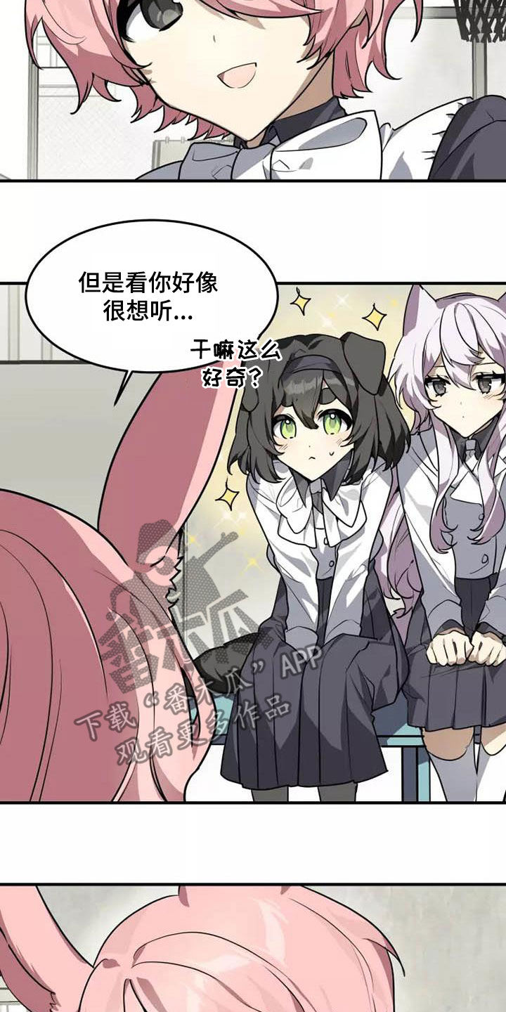动物校园漫画,第33章：你怎么知道4图