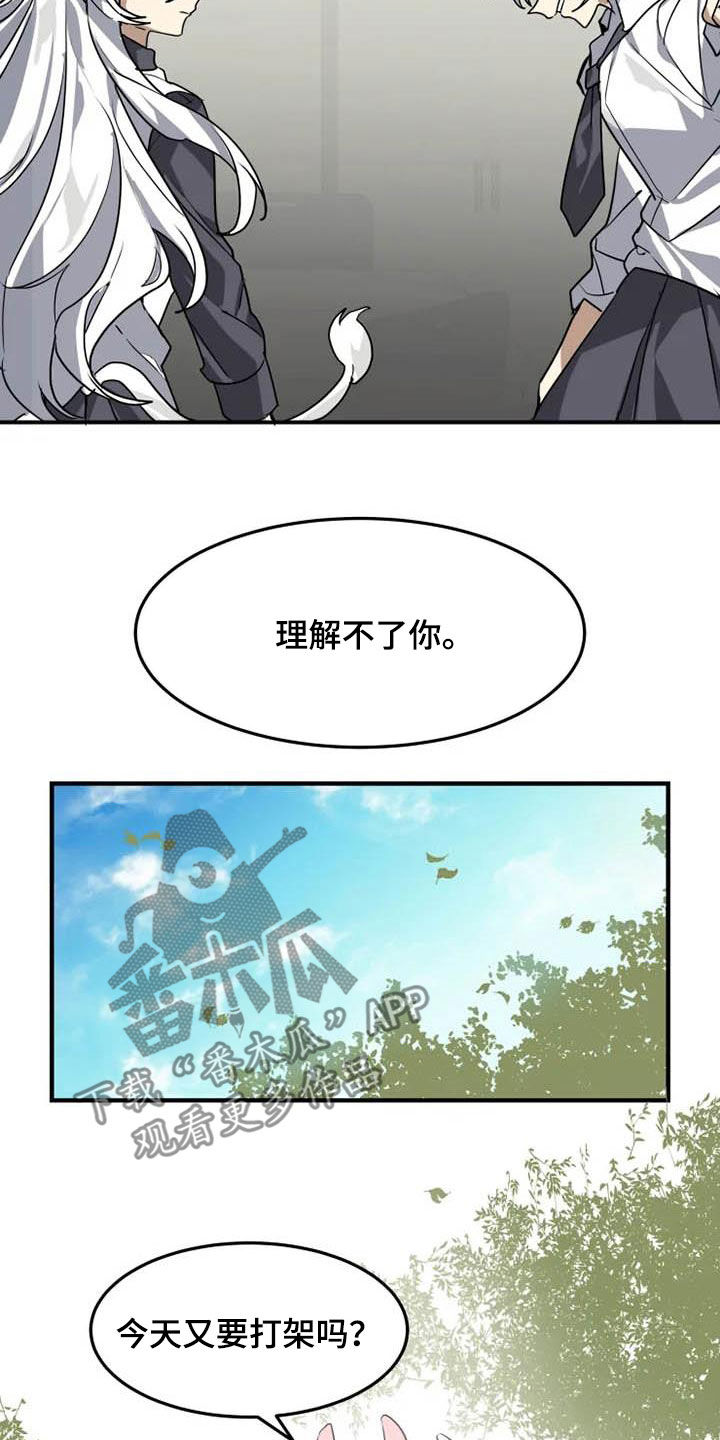 动物校园全集视频漫画,第20章：一群笨蛋3图