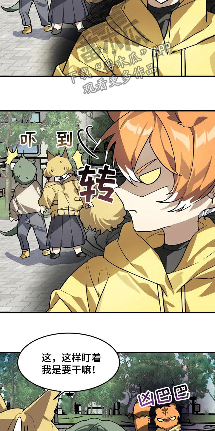 动物消消看漫画,第25章：欺负弱小3图