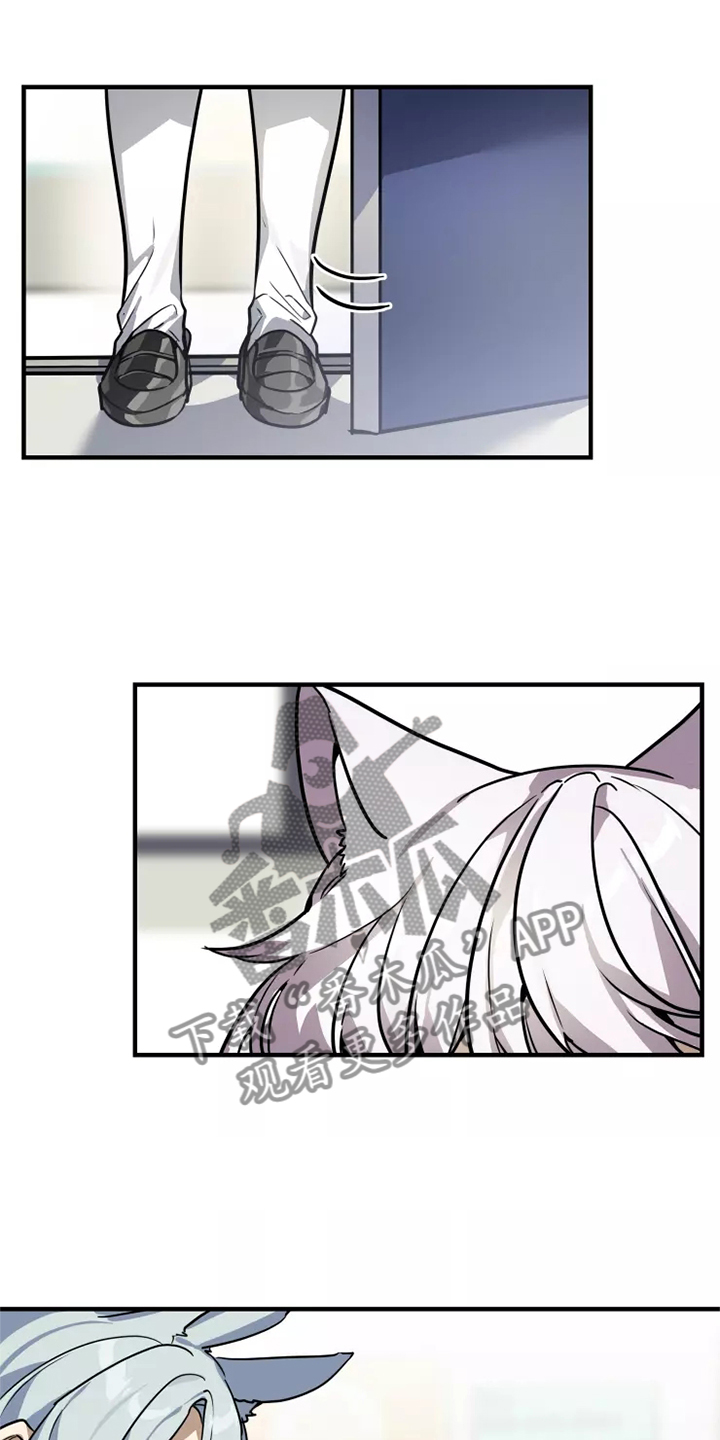 动物校园漫画,第41章：阻挠1图