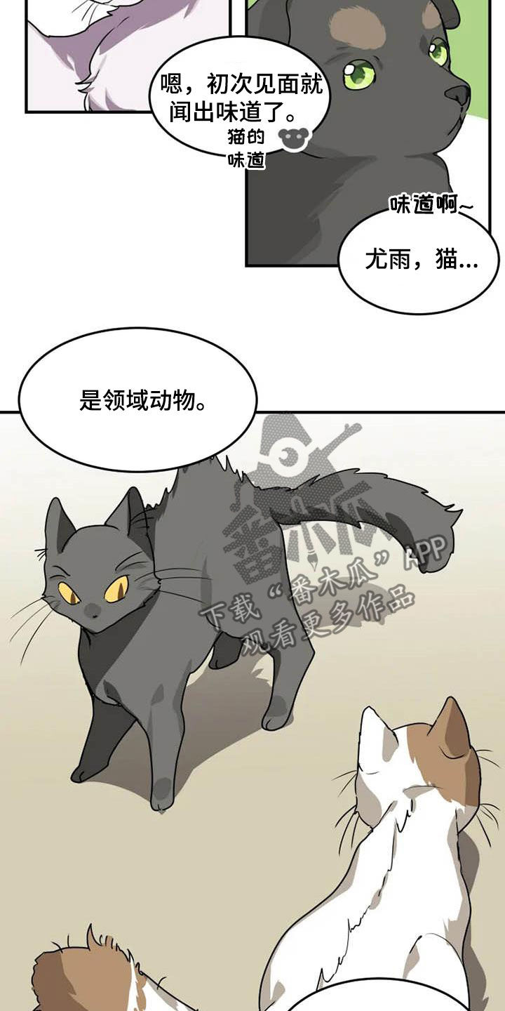 动物笑话大全爆笑漫画,第19章：分析1图