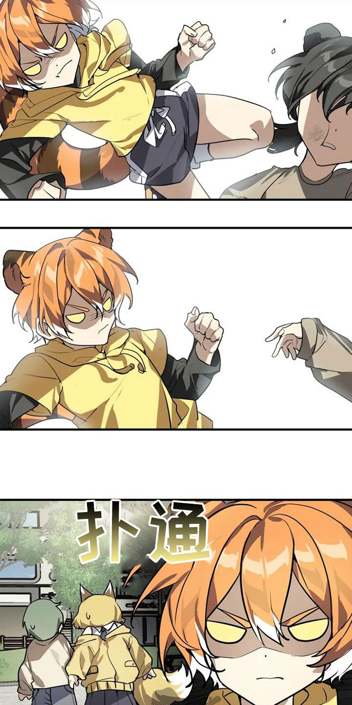 动物消消看漫画,第25章：欺负弱小2图