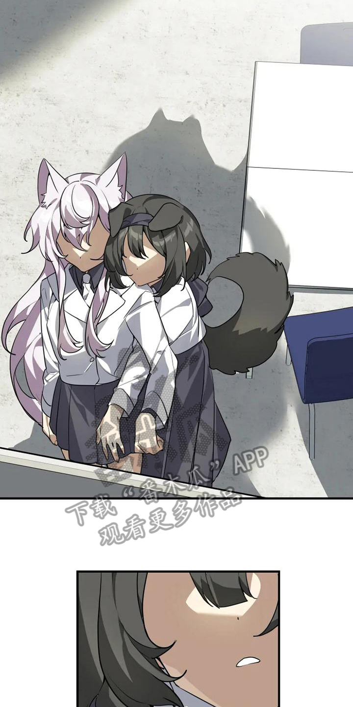 动物消消看漫画,第12章：喜欢4图