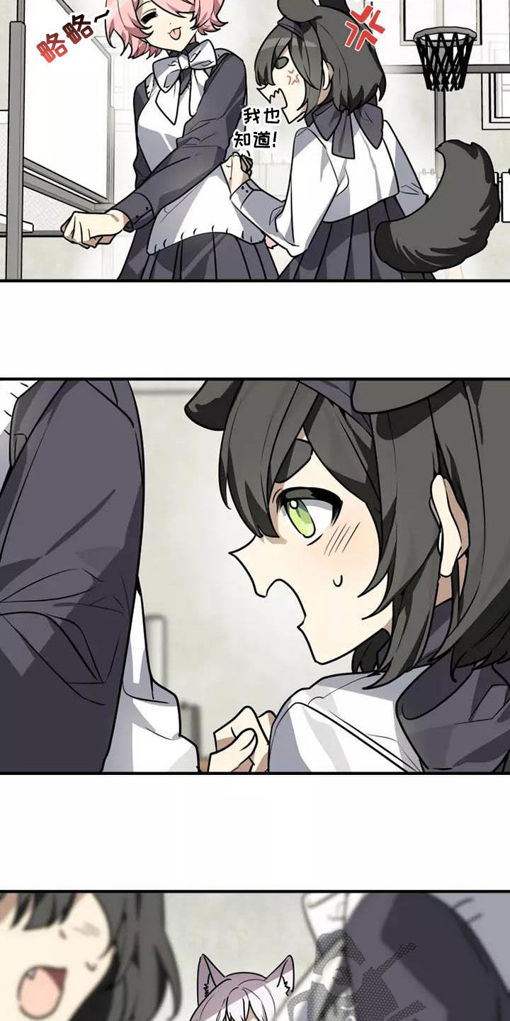 动物校园漫画,第34章：传达5图