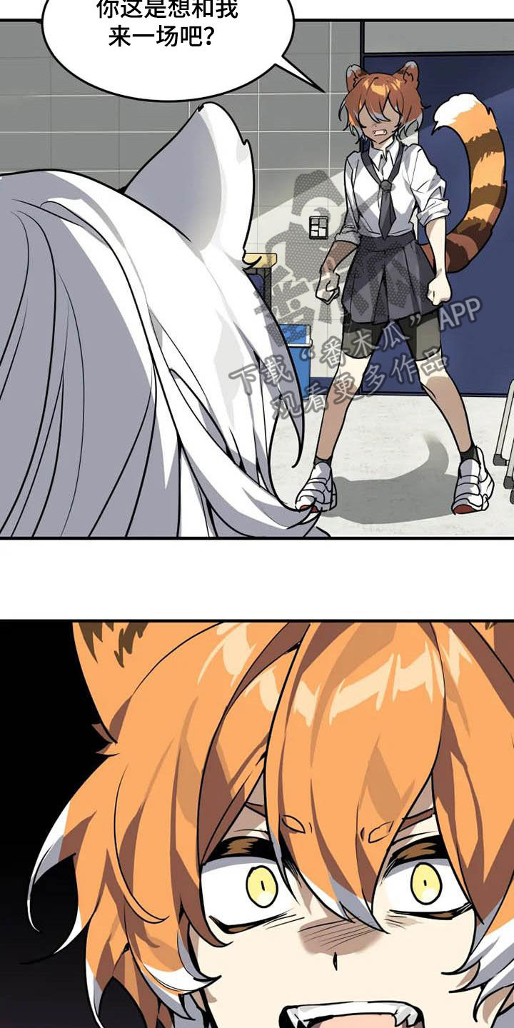 动物校园全集视频漫画,第20章：一群笨蛋1图