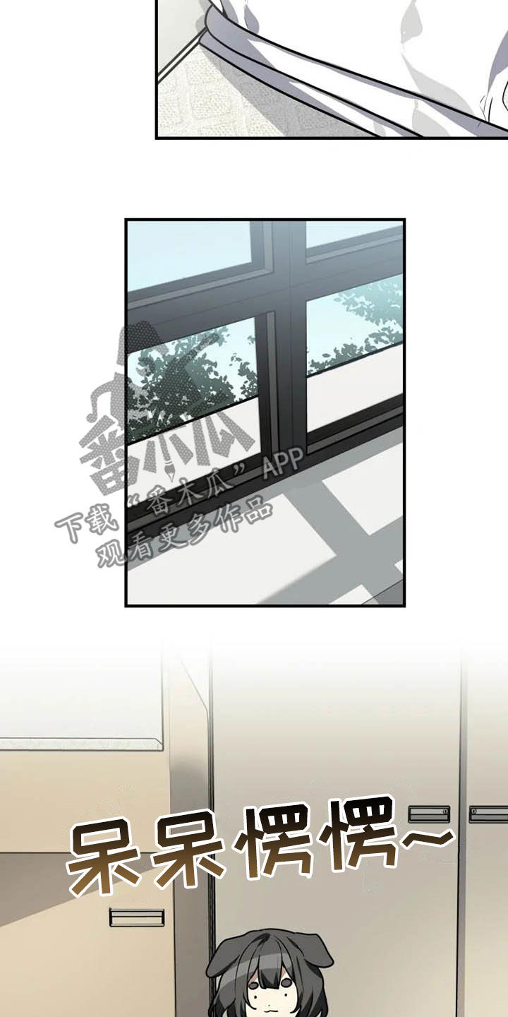 动物校园漫画,第17章：味道1图