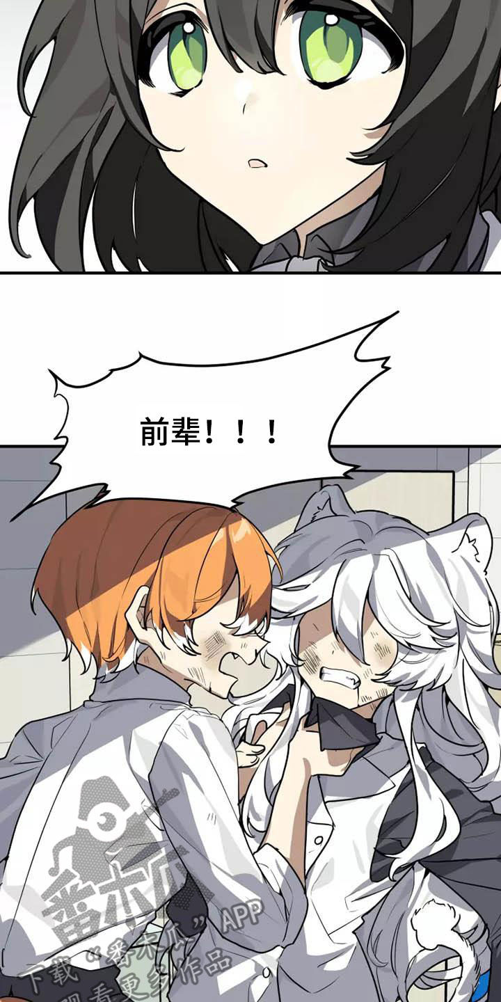 动物校园漫画,第33章：你怎么知道2图