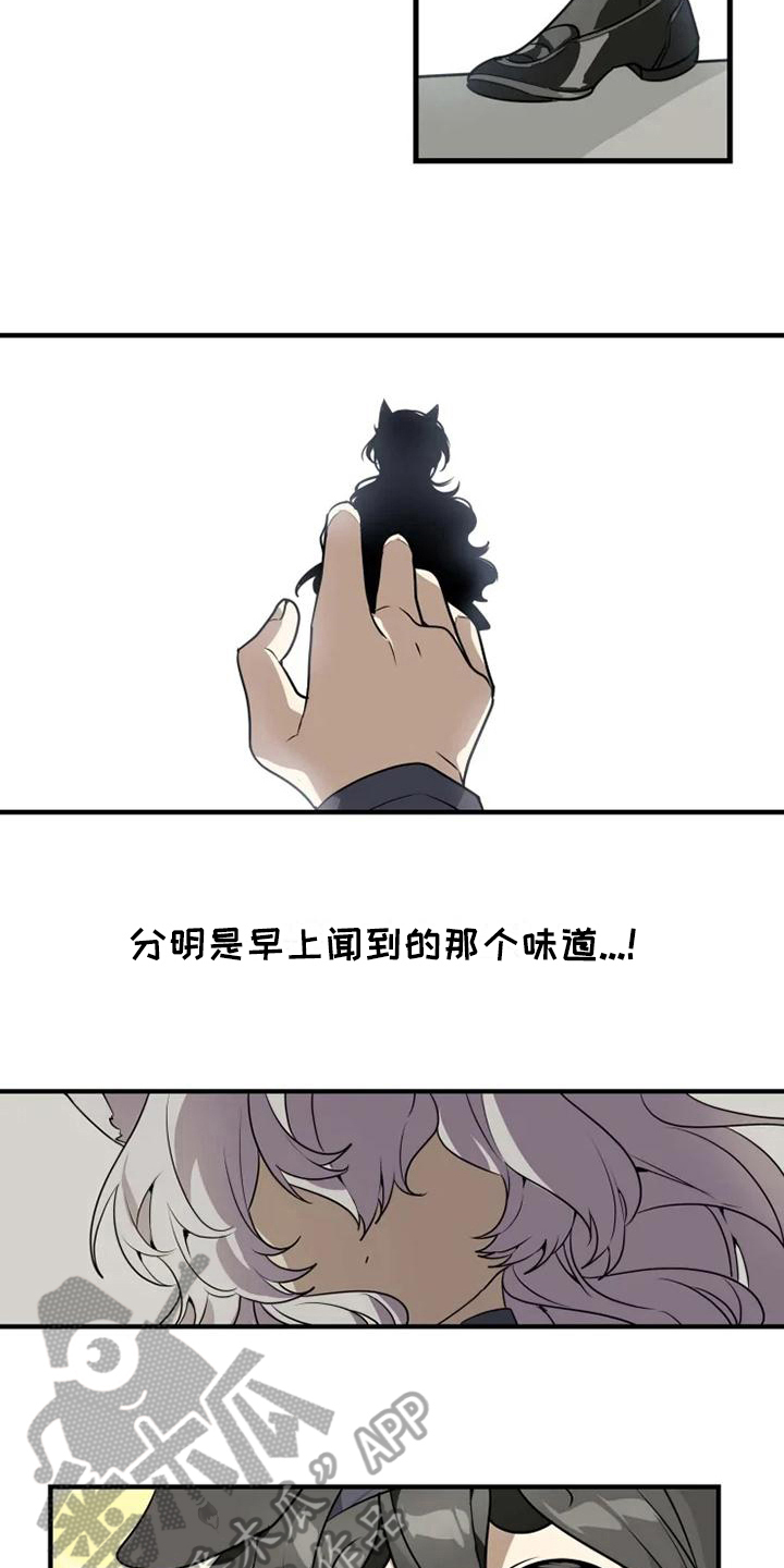 动物笑话大全爆笑漫画,第5章：认错1图