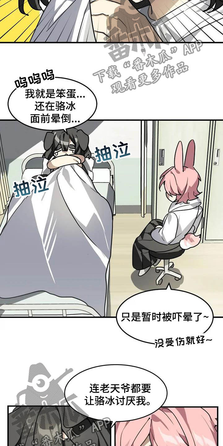 动物校园漫画,第19章：分析4图