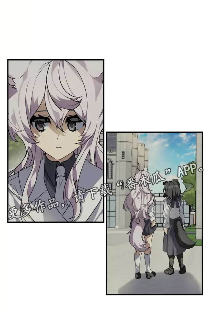 动物笑话大全爆笑漫画,第38章：庆典2图