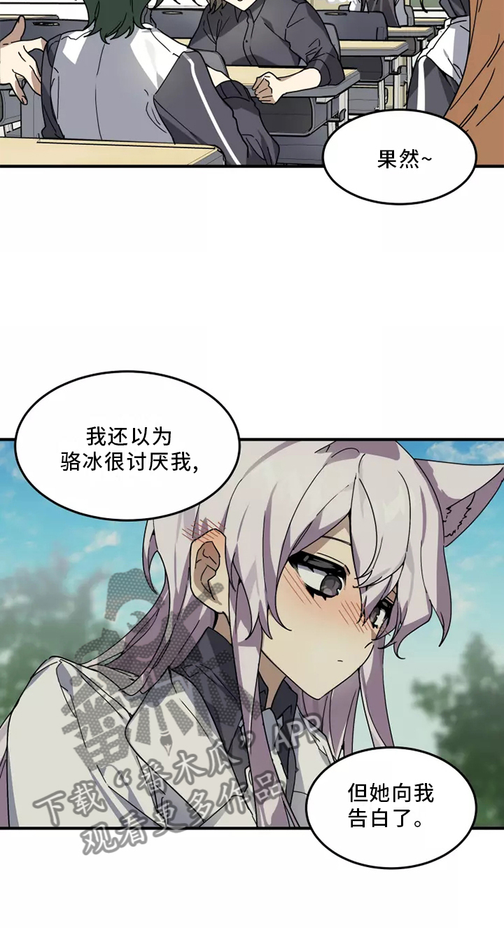 动物消消看漫画,第37章：听说3图