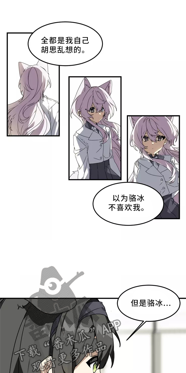 动物消消看漫画,第37章：听说4图