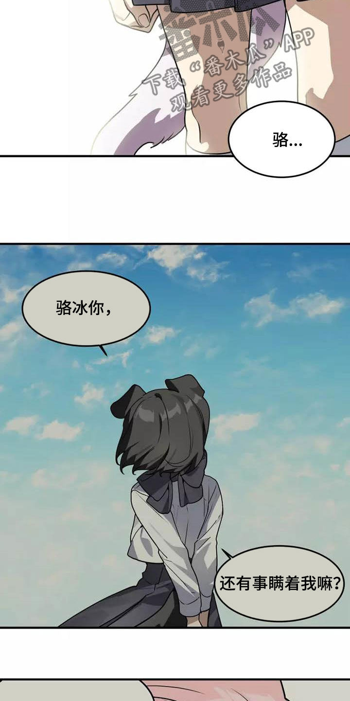 动物小镇规则怪谈漫画,第34章：传达3图