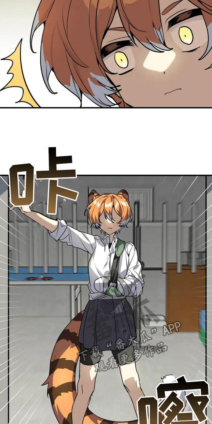 动物校园漫画,第23章：态度转变2图