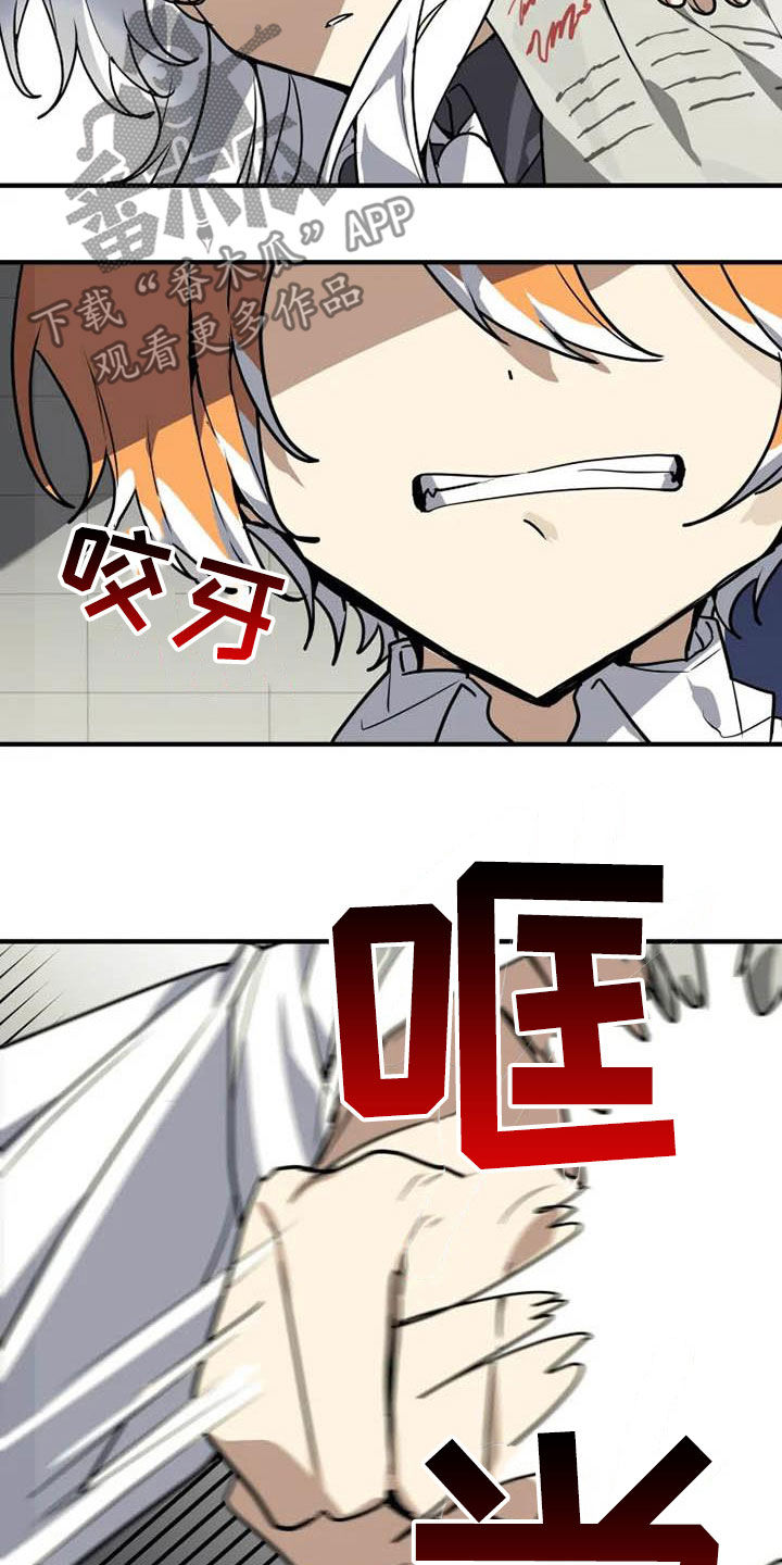 动物校园全集视频漫画,第20章：一群笨蛋1图