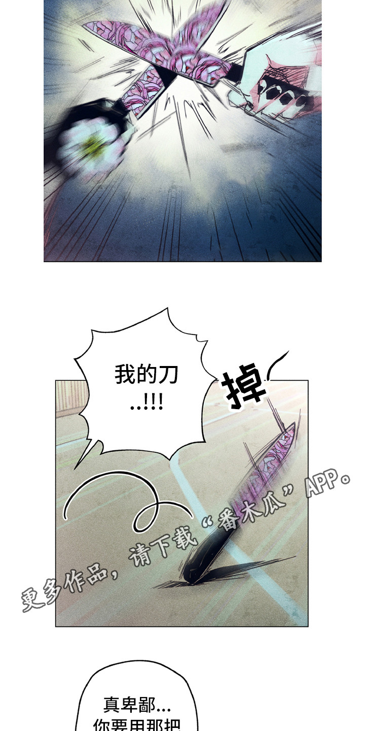 拳花漫画,第10章：共同守护（完结）3图