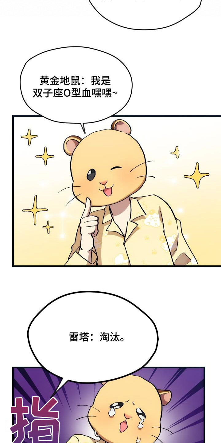 神级菜鸟漫画,第31章：选择1图