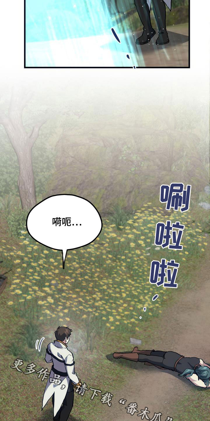 神级菜鸟漫画,第29章：神秘刺客1图