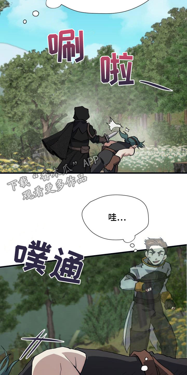 神级菜鸟漫画,第29章：神秘刺客1图