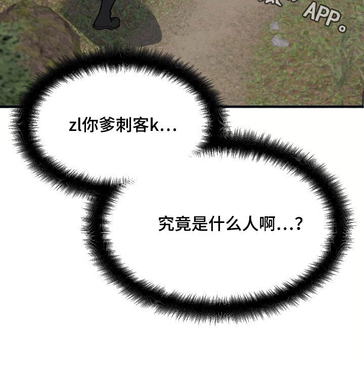 神级菜鸟漫画,第29章：神秘刺客2图