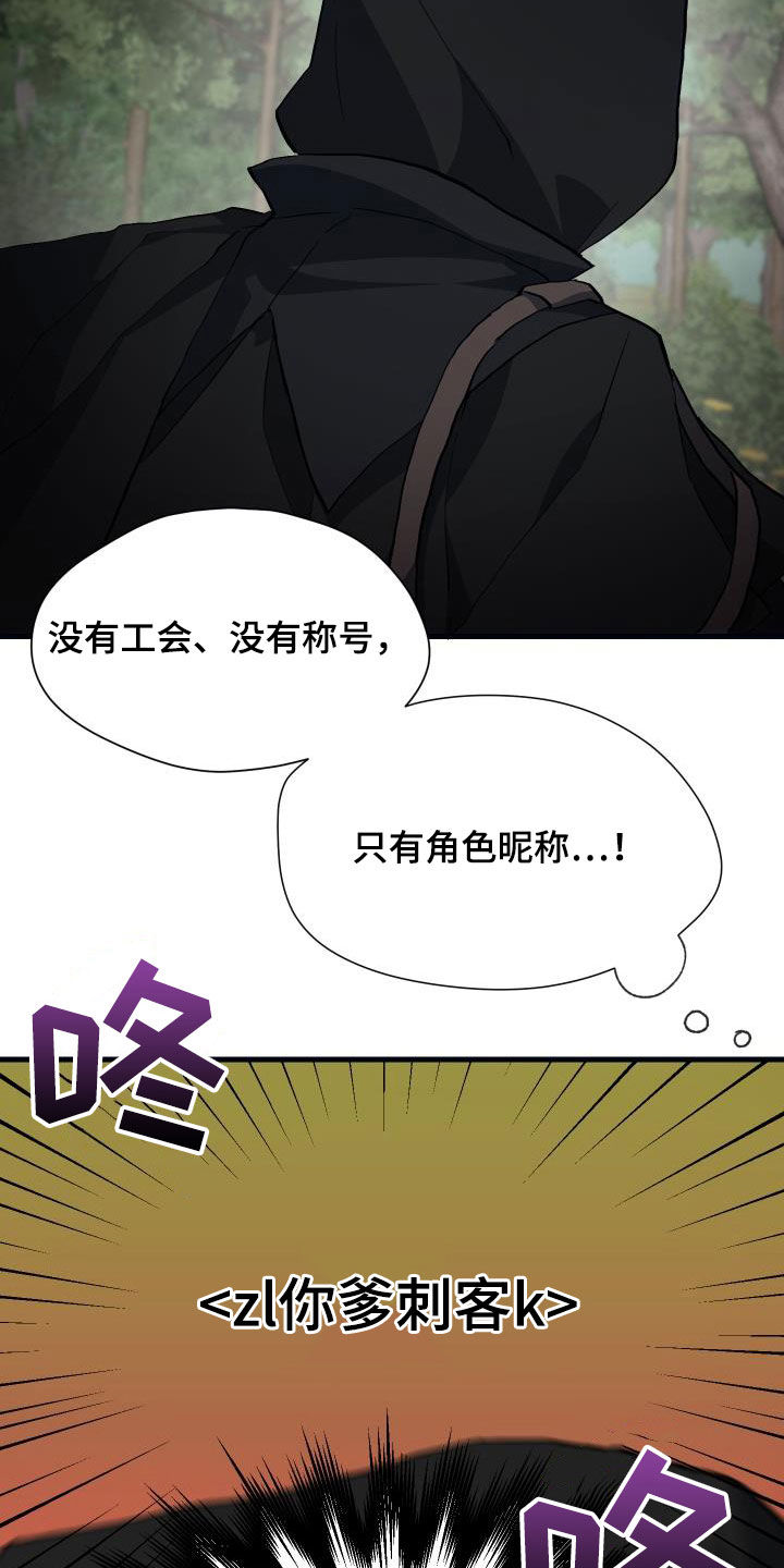 神级菜鸟漫画,第29章：神秘刺客3图