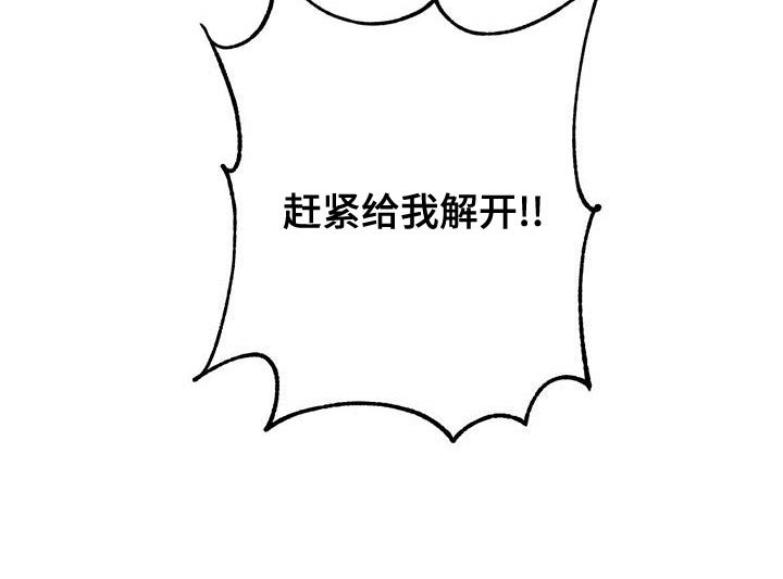 恶意降薪怎么申请劳动仲裁漫画,第67章：赶紧给我解开5图