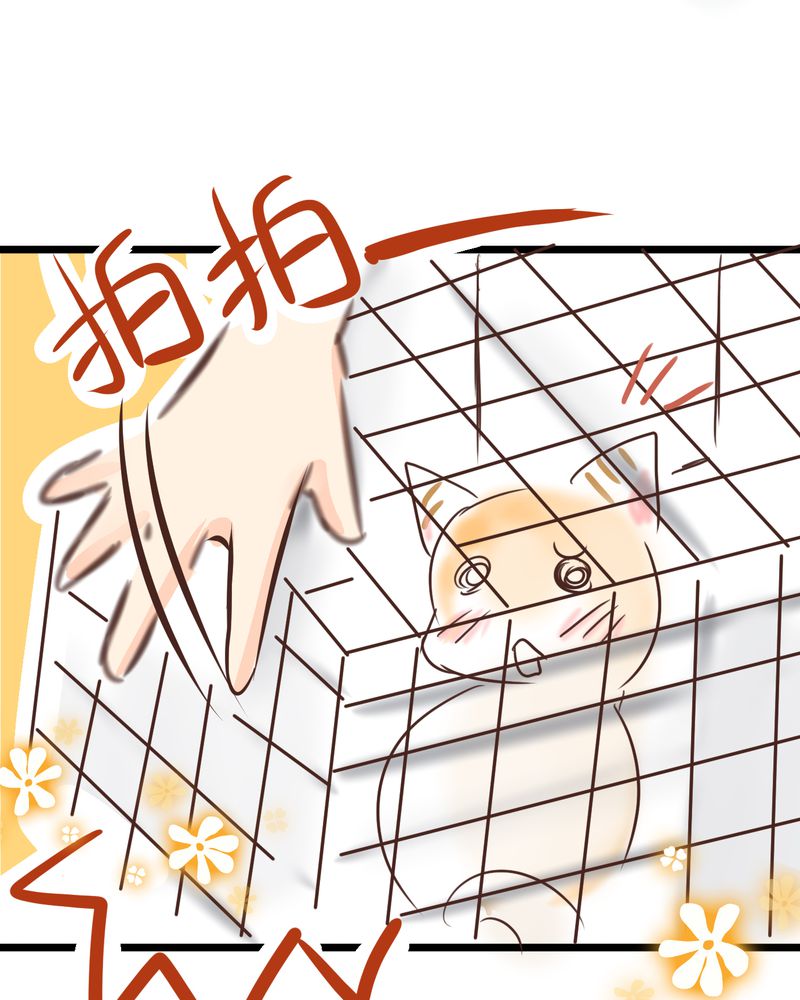 逗腐教室漫画,第18章：名为【感情】的花蕾3图
