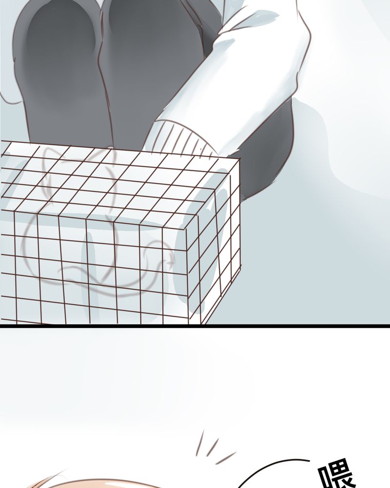 逗腐教室漫画,第18章：名为【感情】的花蕾4图