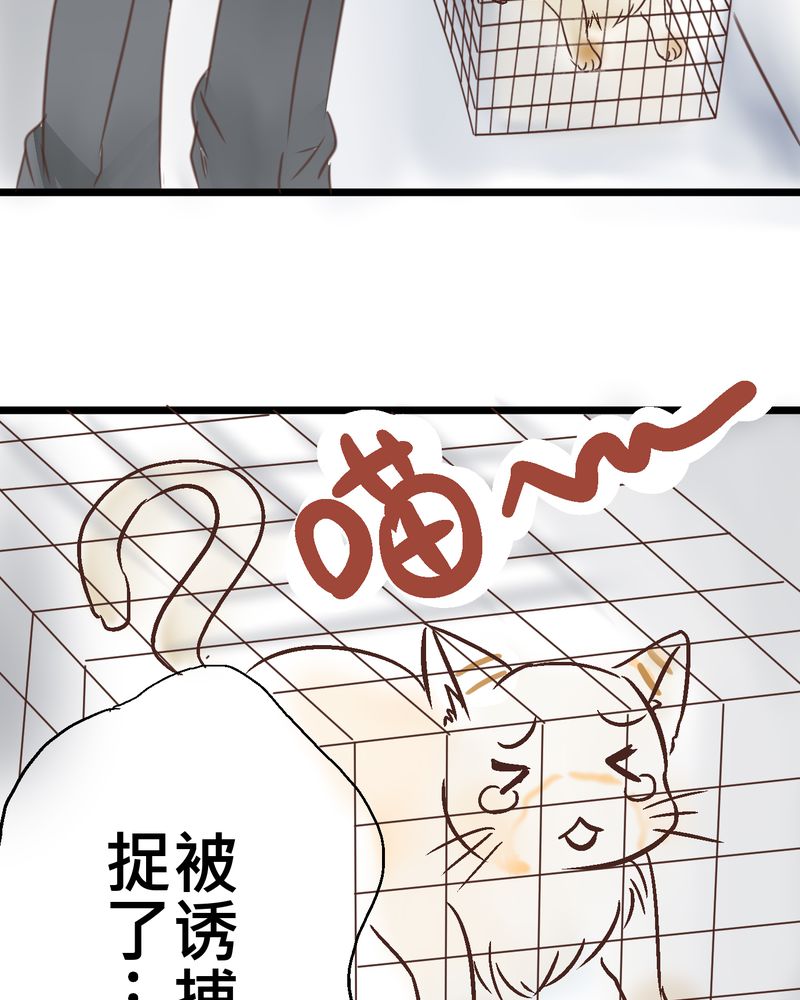 逗腐教室漫画,第18章：名为【感情】的花蕾3图