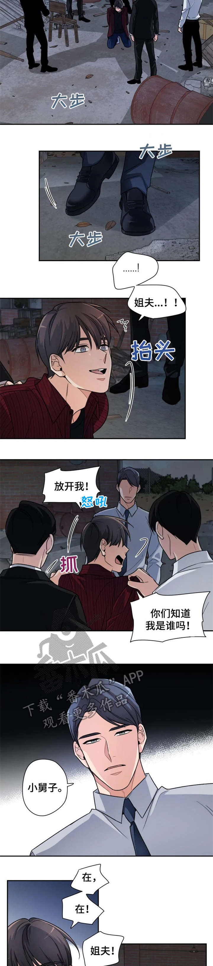 一年的软件服务费需要入无形资产漫画,第16章：小舅子3图