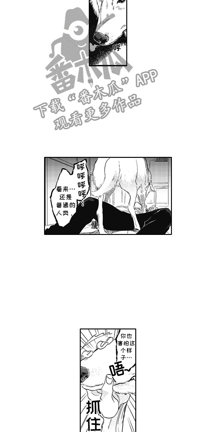 吃掉吸血鬼漫画,第6章：真面目4图