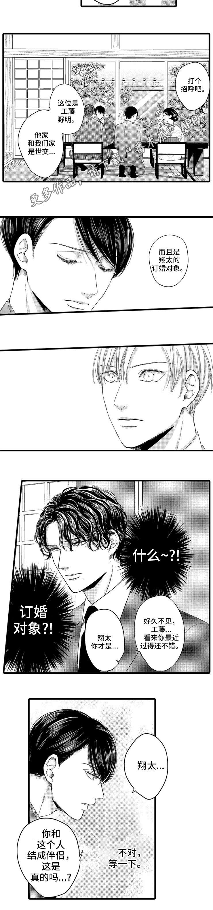 欧米伽的伪装剧情漫画,第8章：订婚对象4图