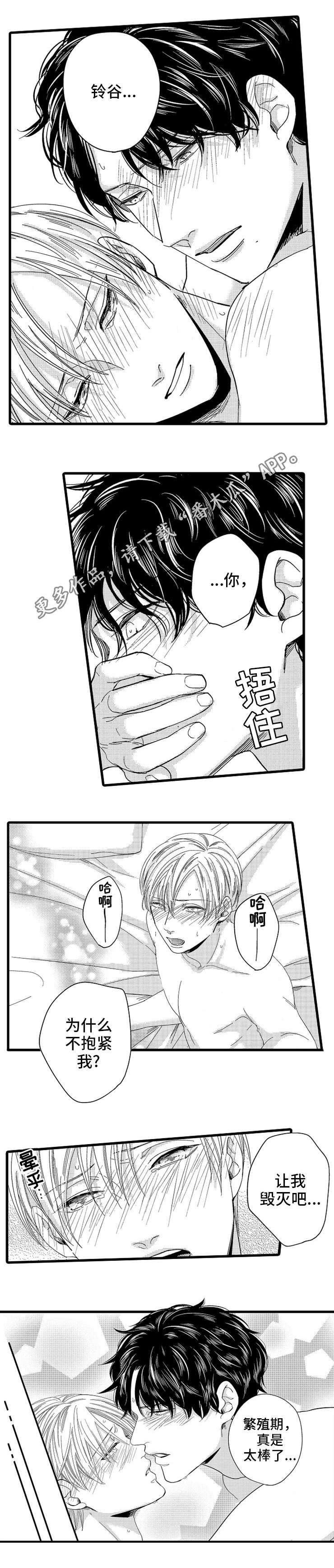 欧米伽伪装小说剧情漫画,第25章：对戒4图