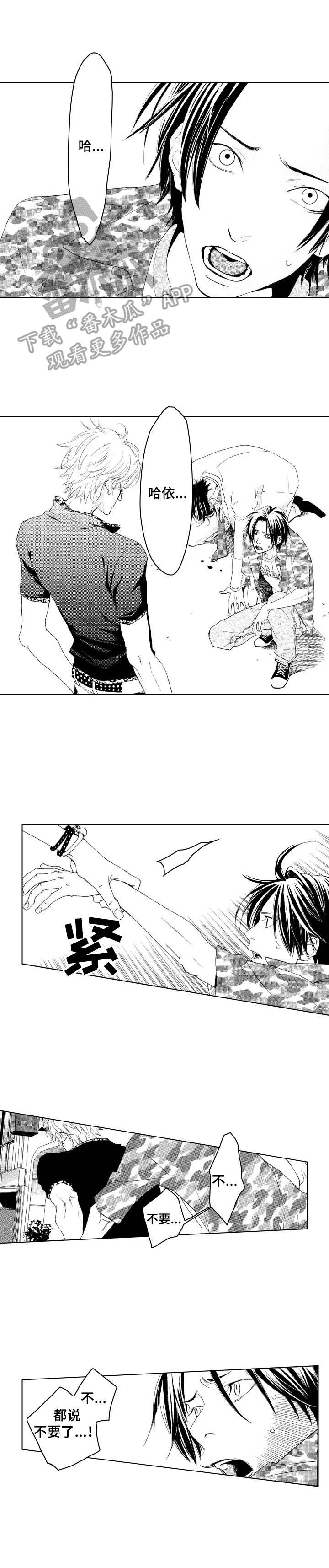 代号哈依漫画,第17章：冲突2图