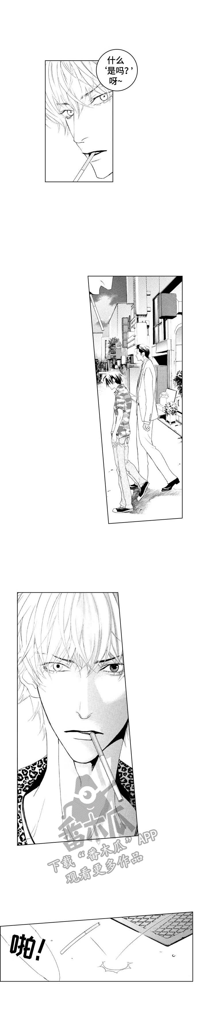 代号哈依漫画,第17章：冲突2图