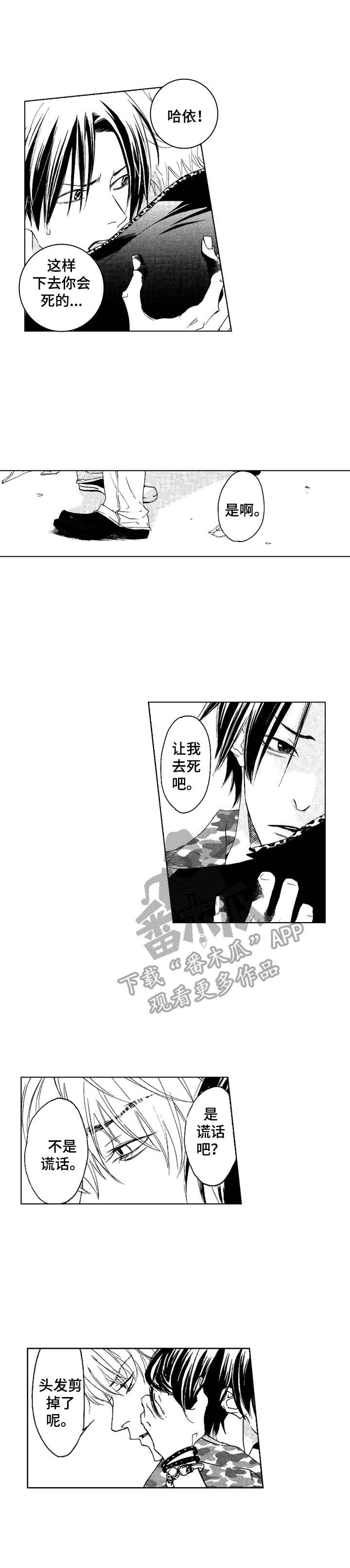 代号哈依漫画,第22章：厌倦了1图